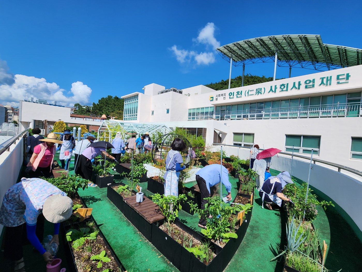 15회기) 원예 텃밭활동1