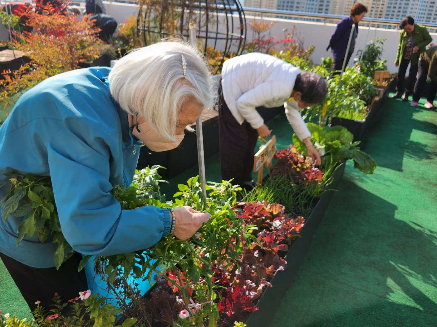 23회기) 힐링원예 (원예)1(11월6일)